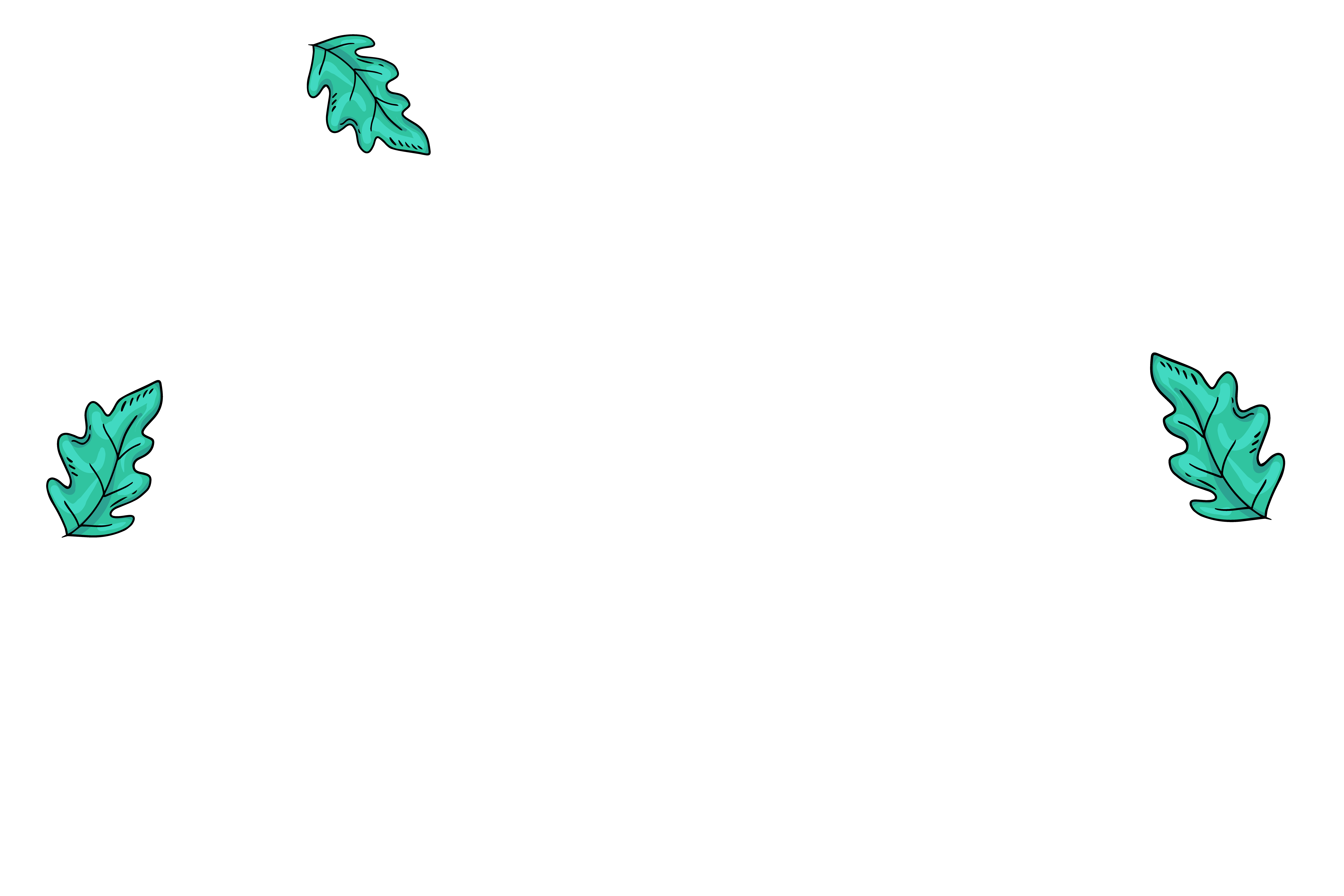 Folhas e flores decorativas